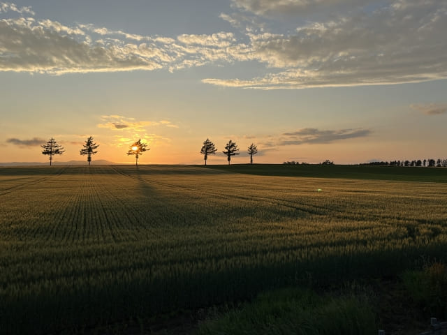 オーガニックの4原則