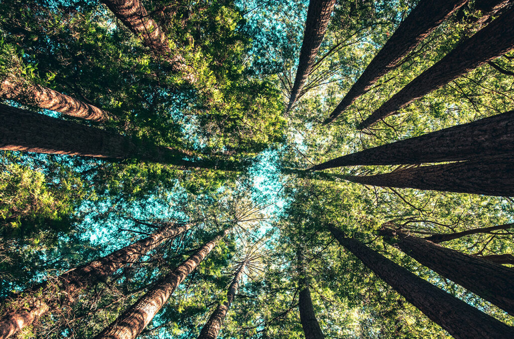 SBT(Science Based Targets)とは?認定基準や認定取得のメリットを解説