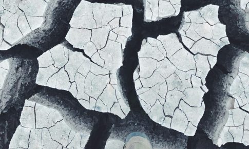 ダイベストメントとは?世界中に運動が拡大した背景や日本の動きも解説!