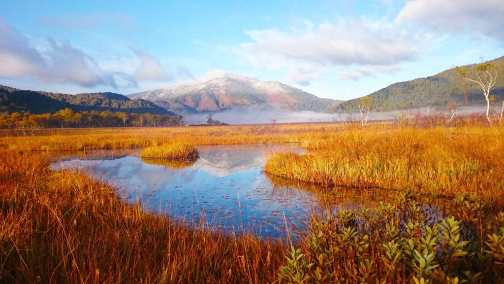 紅葉シーズンの尾瀬の湿原