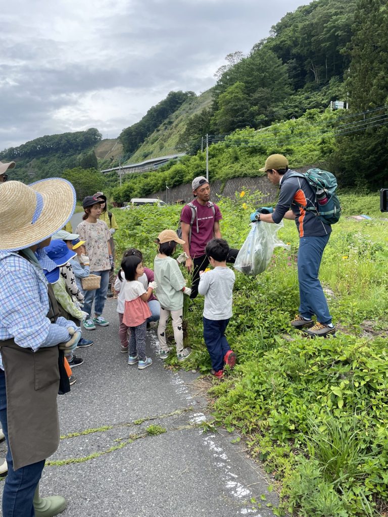 外来生物オオキンケイギクを用いた草木染体験