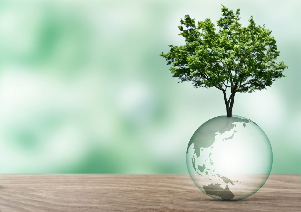 エコギルトへの対処法