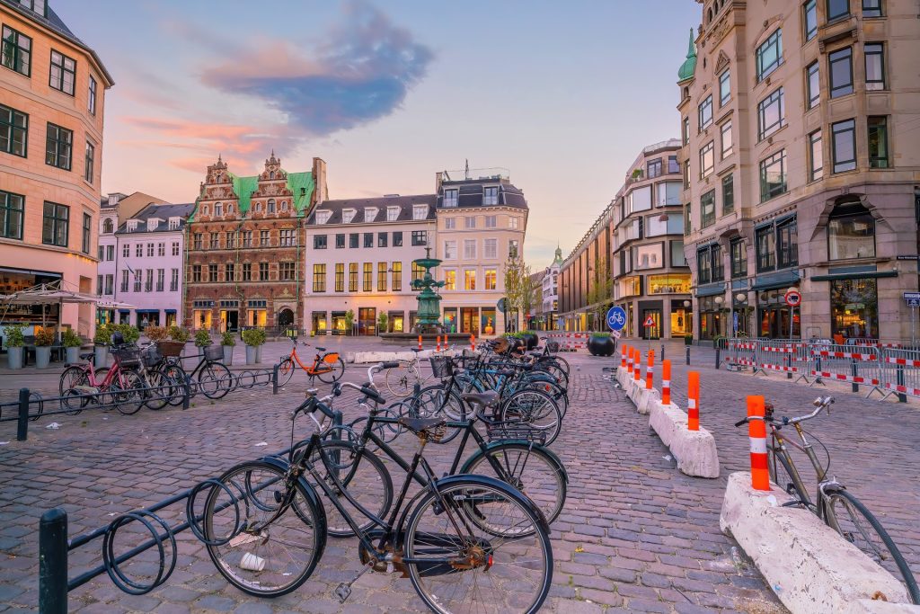 リバブルシティの事例