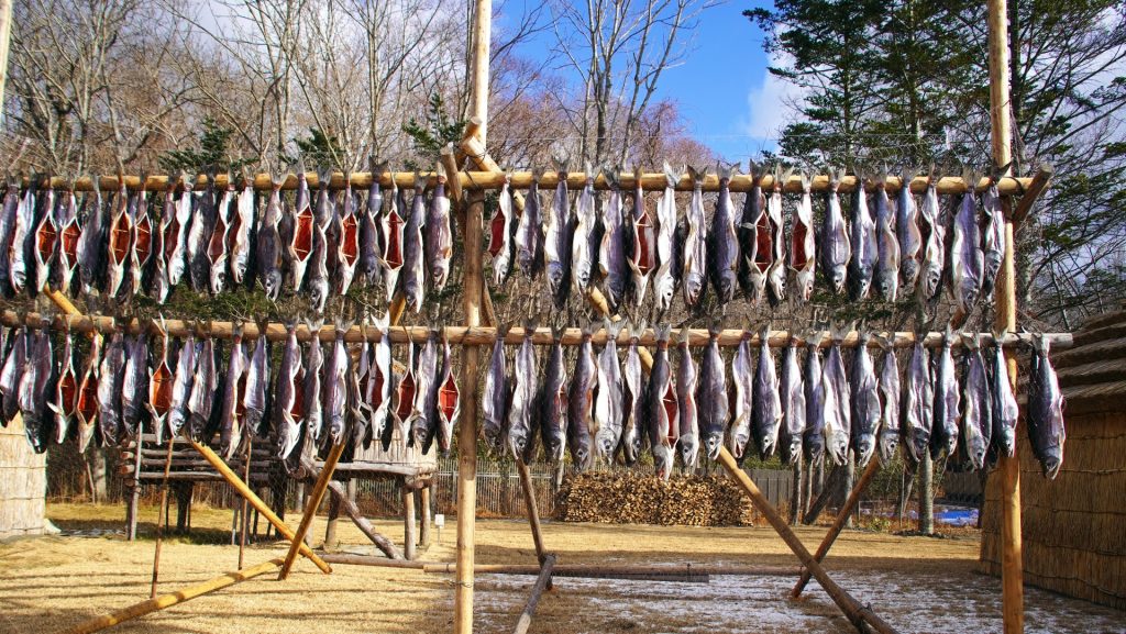 日本の環境レイシズム