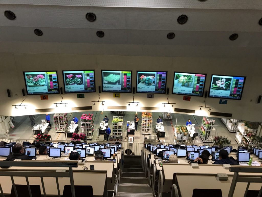 花市場での競りの様子