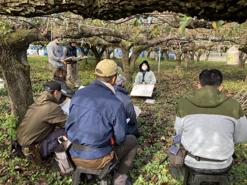 梨スクールの様子