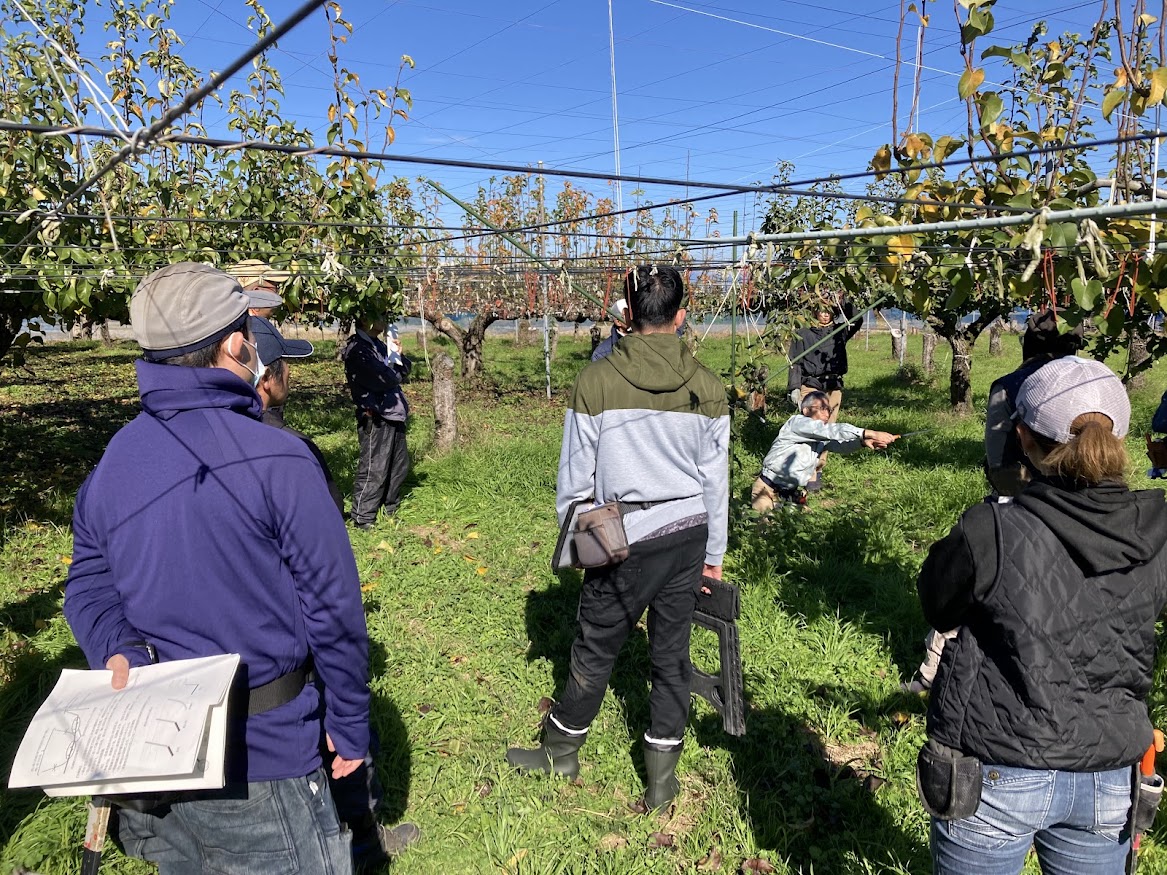 梨スクールの様子