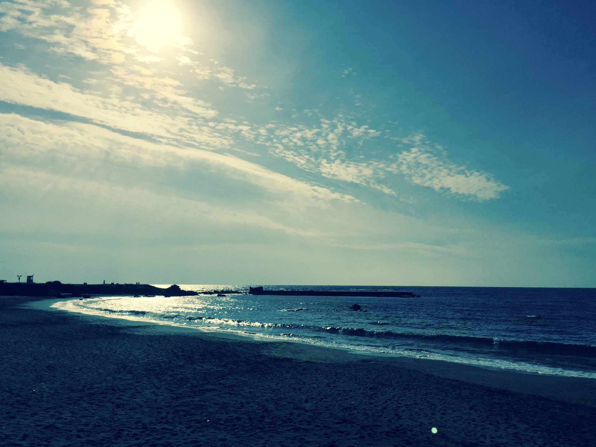 いちごのショートケーキができるまで〜生産者をめぐる旅〜
