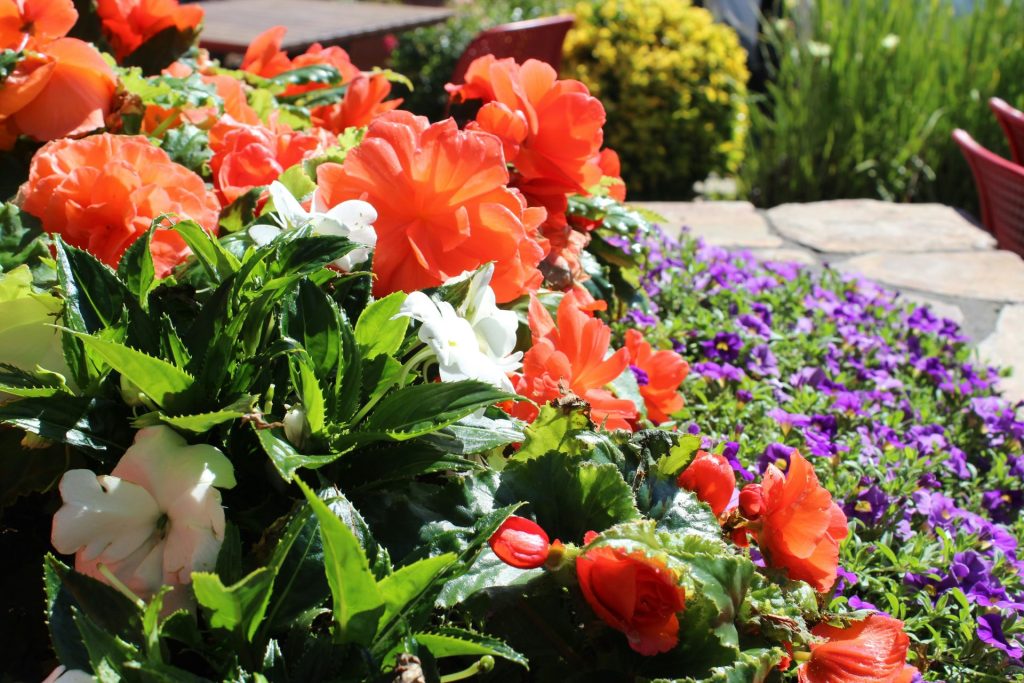 自然と人と、ちょうどよい距離でつながる。ガーデンがつくるサードプレイス