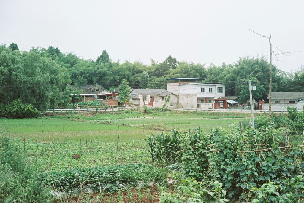 オーガニックビレッジとオーガニック給食の普及:亀岡市の取り組みから見る意義