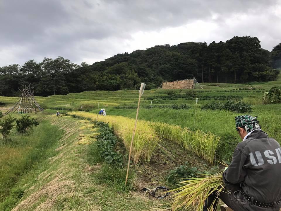 いちごのショートケーキができるまで〜生産者をめぐる旅〜