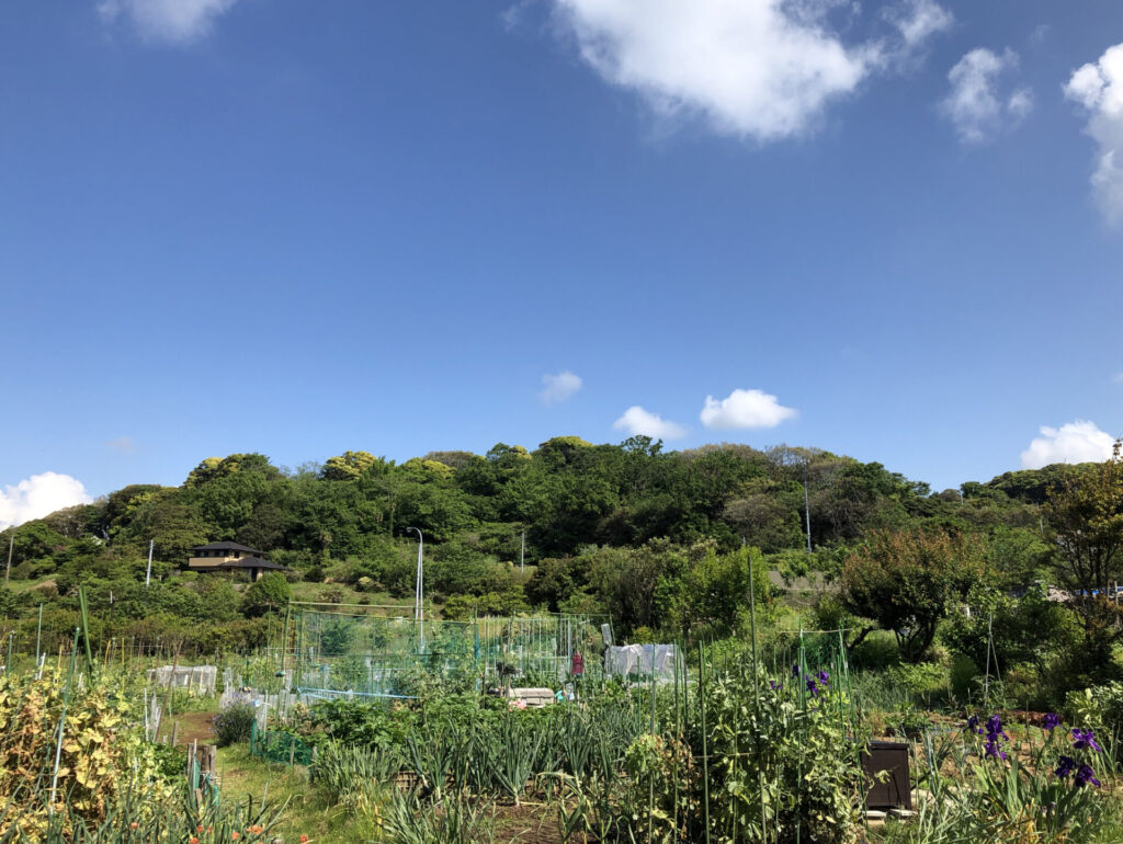 耕すのをやめる。もう一度、土と生き直す7