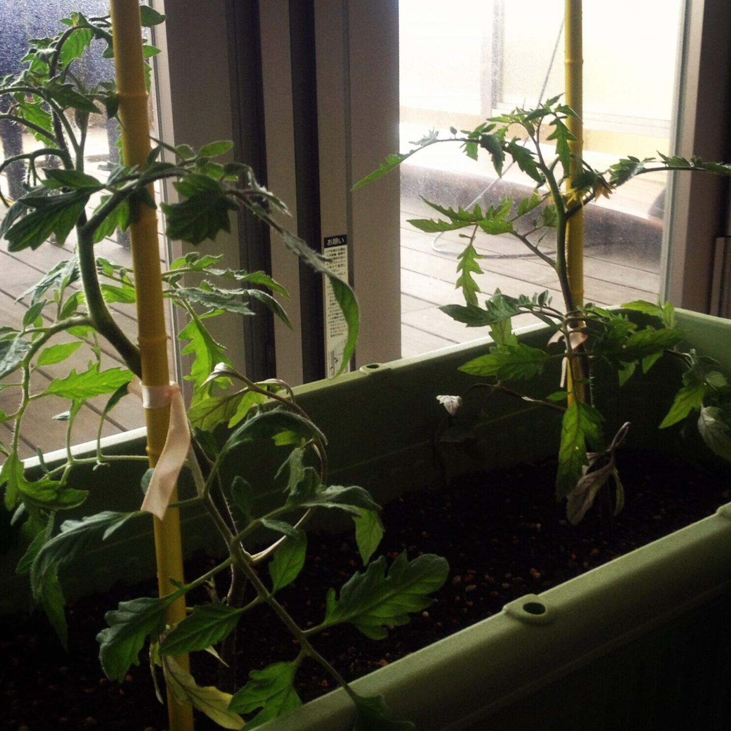 #7 小さなコンポストに大地の過去と未来が見えてくる