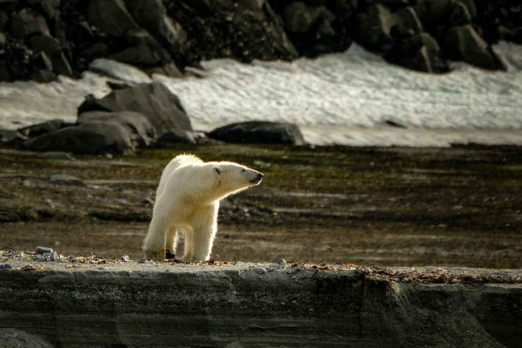 地球温暖化を止めることはできないのか5