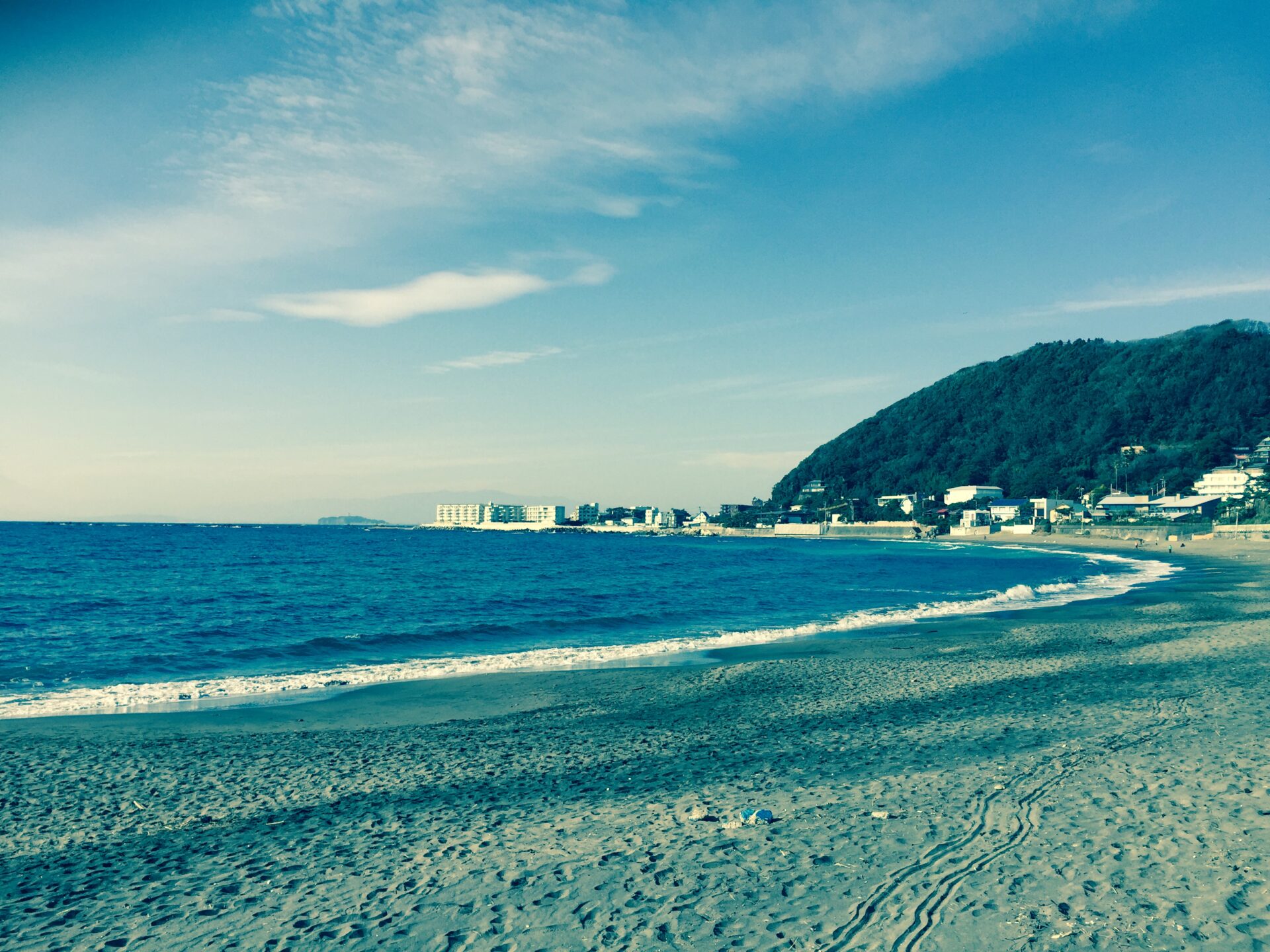 いちごのショートケーキができるまで〜生産者をめぐる旅〜