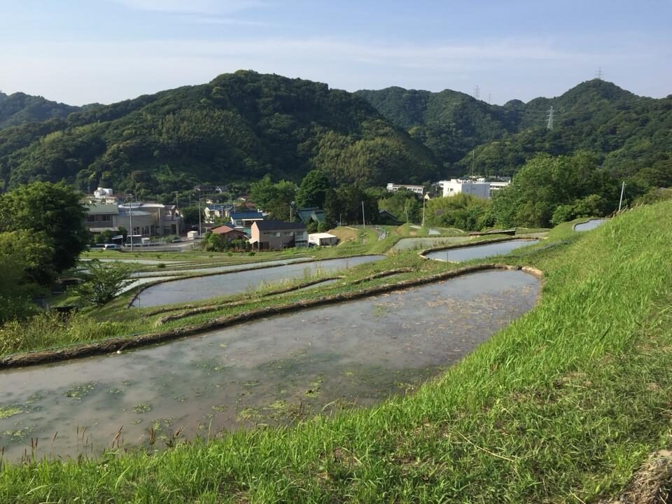 いちごのショートケーキができるまで〜生産者をめぐる旅〜