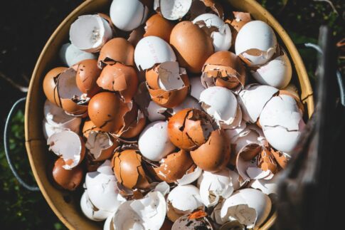 老舗あんこメーカーが挑む「食品ロス粉末化」の可能性