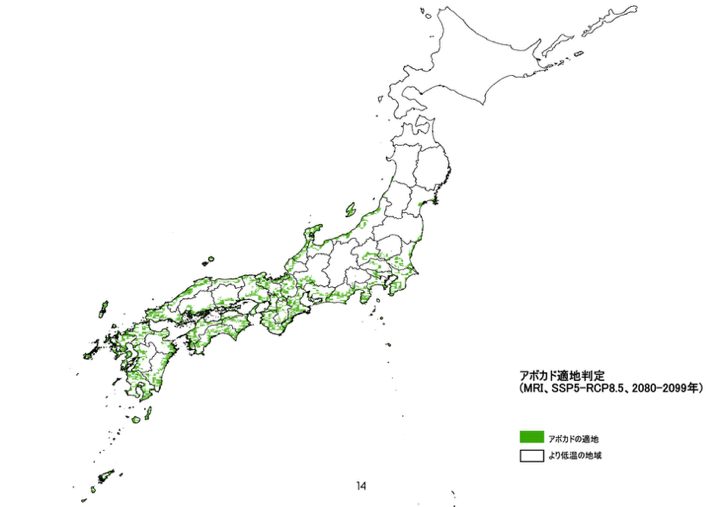 2025年に植えたみかんの木が50年後に繋ぐ未来12