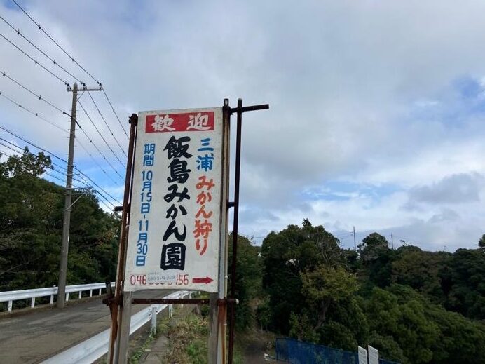 2025年に植えたみかんの木が50年後に繋ぐ未来4