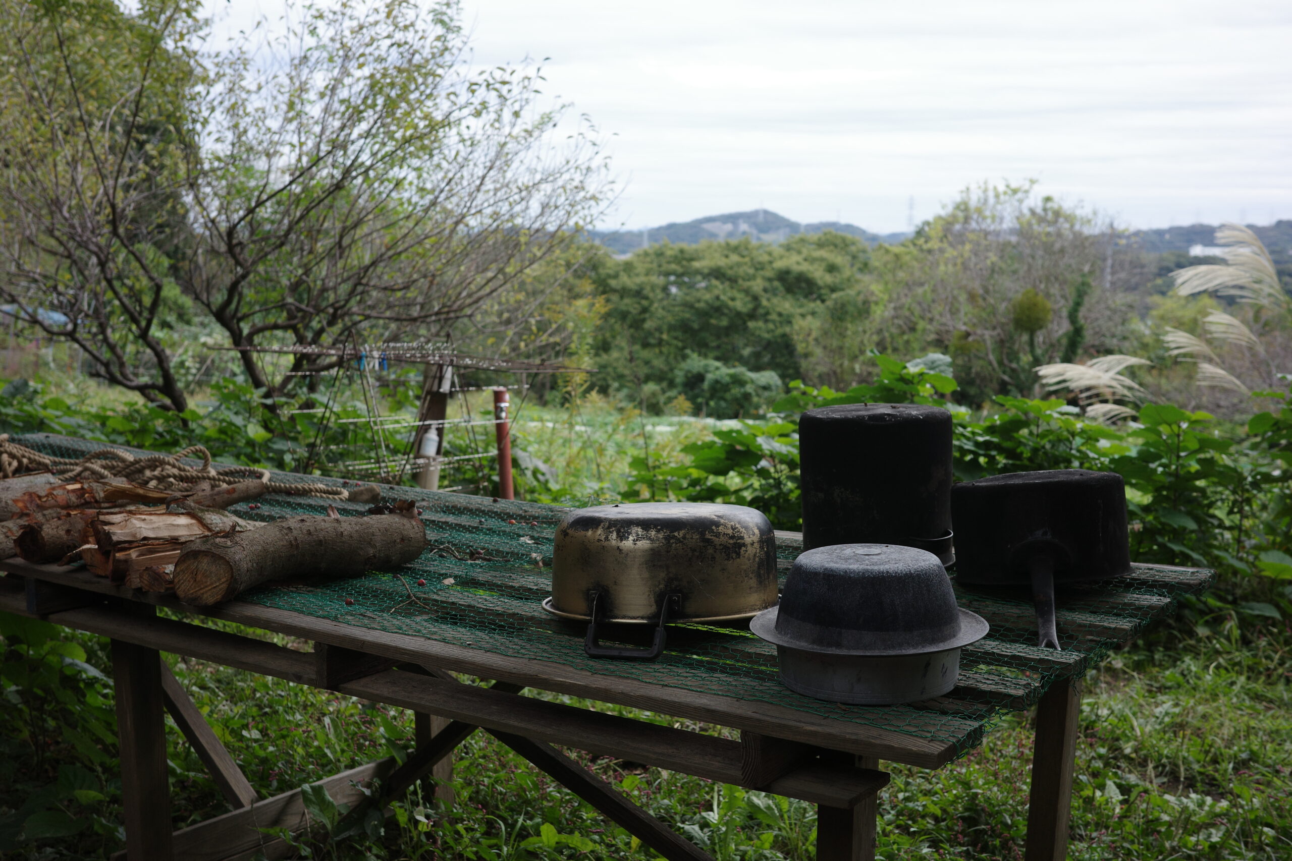 いちごのショートケーキができるまで〜生産者をめぐる旅〜